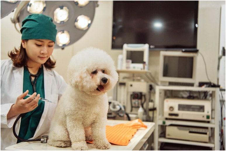 인성축산 이미지