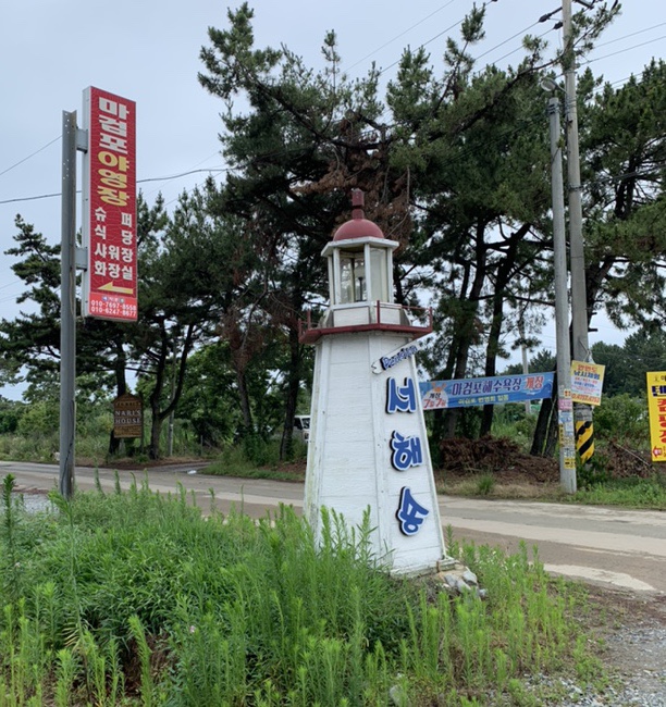 서해송 이미지