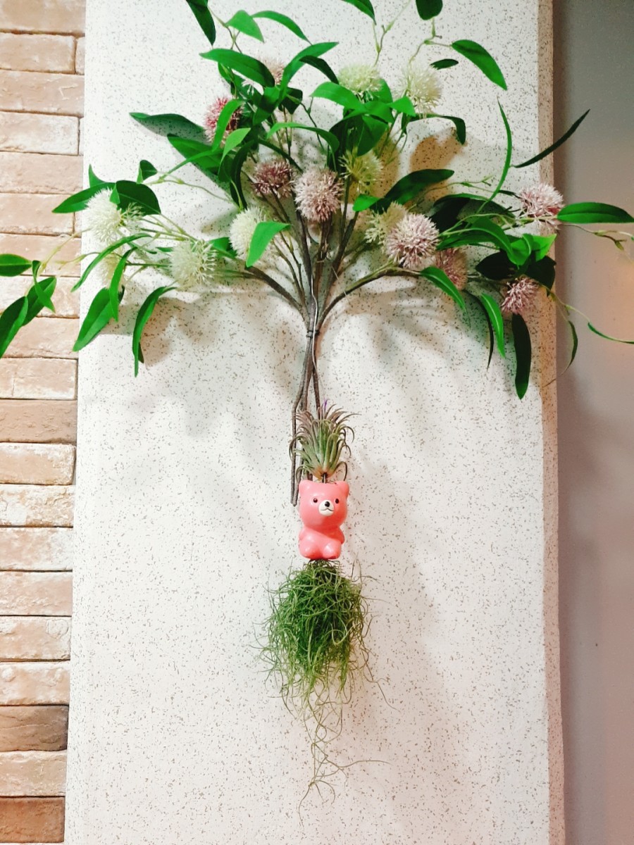 샐빛스터디룸 이미지