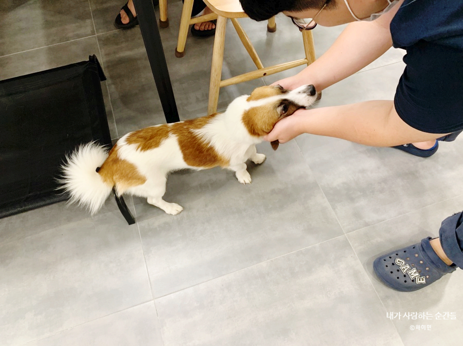 모여라보드게임카페 이미지