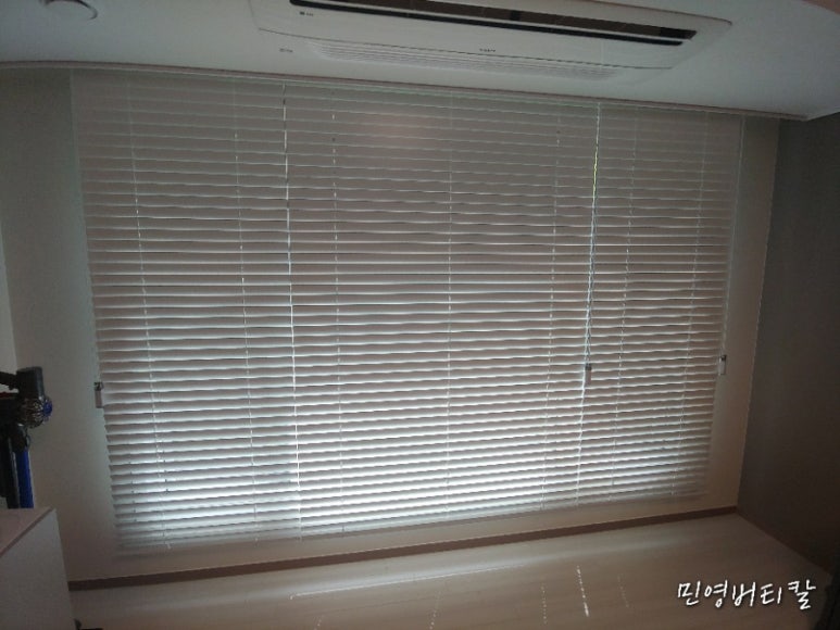 블라인드나무 이미지