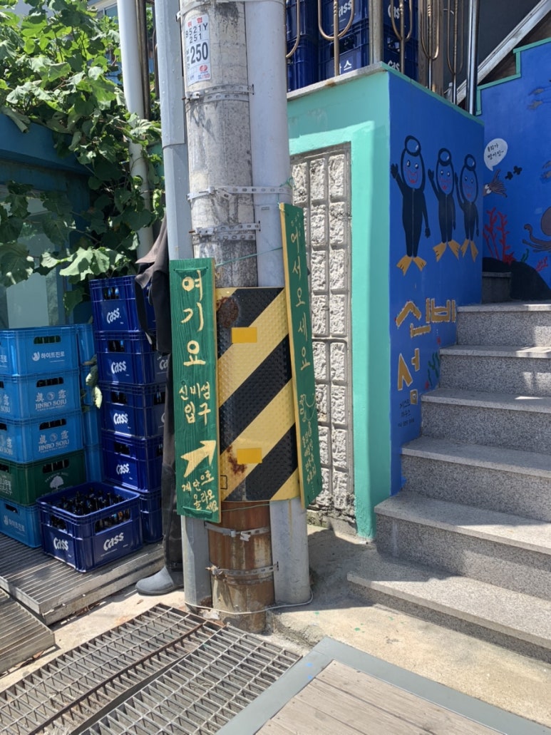 울릉도 물회 횟집 이미지