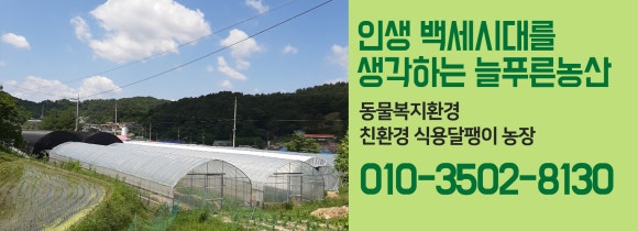 늘푸른농산 이미지