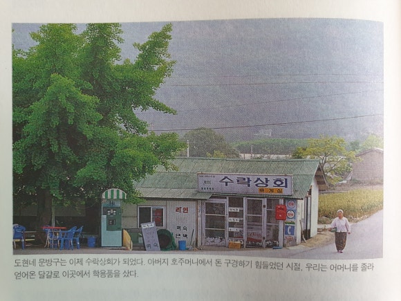 도현상회 이미지