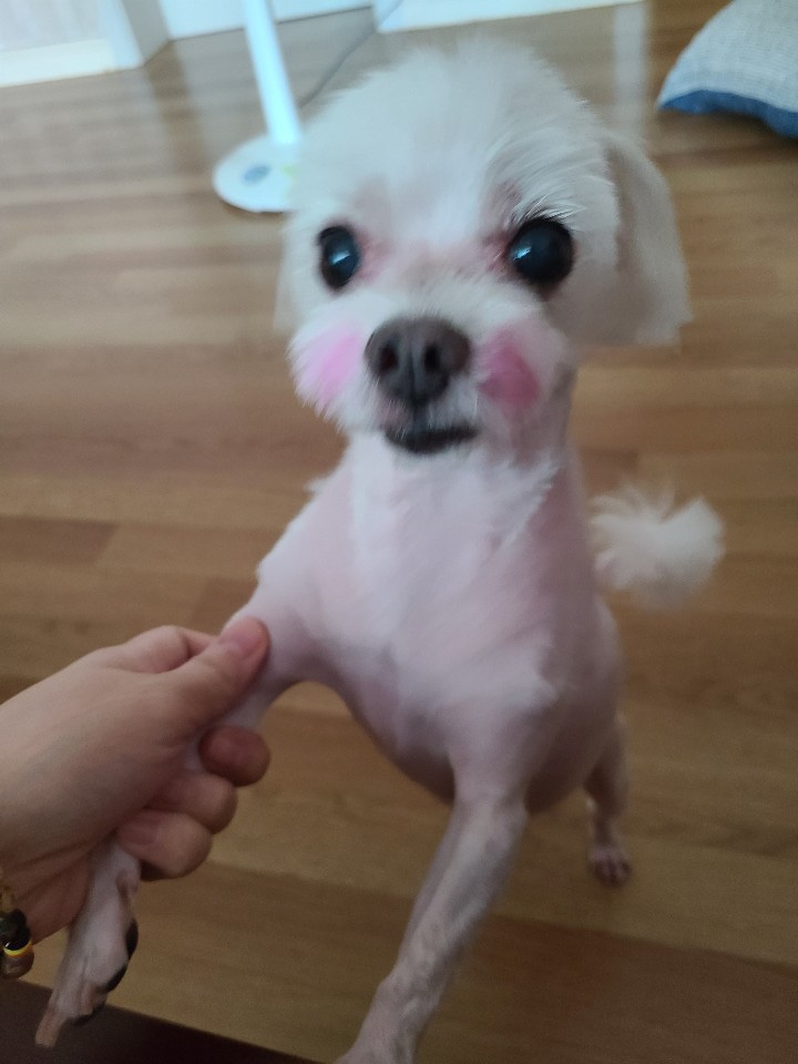 (주)아콩 이미지