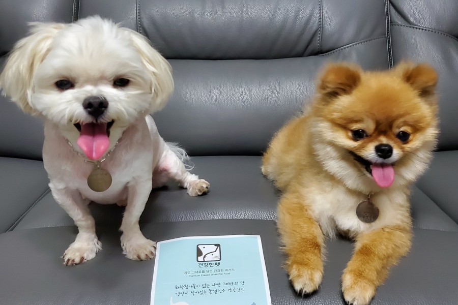 건강한펫 이미지