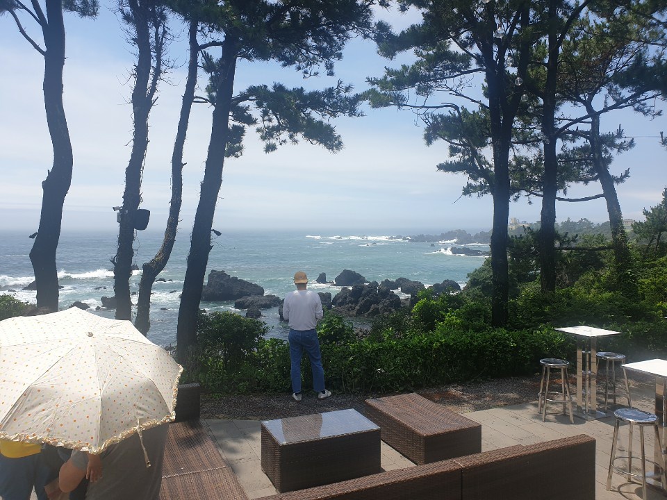 주식회사 여행더 이미지