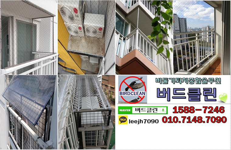 버드밸리 이미지