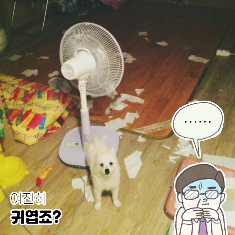 화남상회 이미지