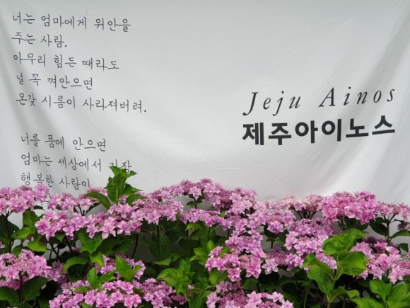 미로항공여행사 이미지