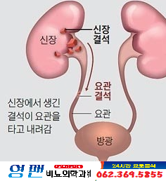 이차돌광주 이미지