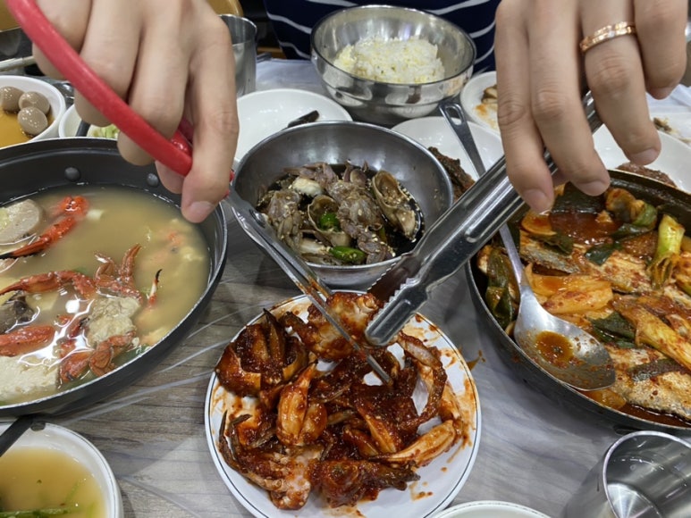 딱지몰 이미지