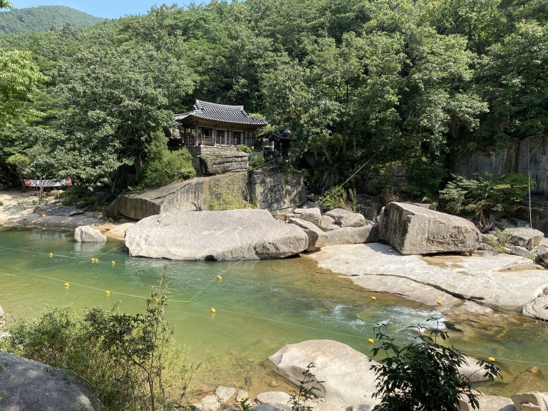 동원식당 이미지