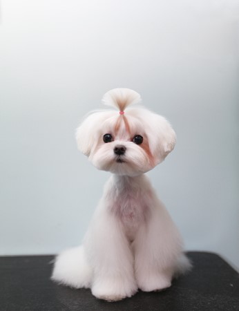 59피자 이미지