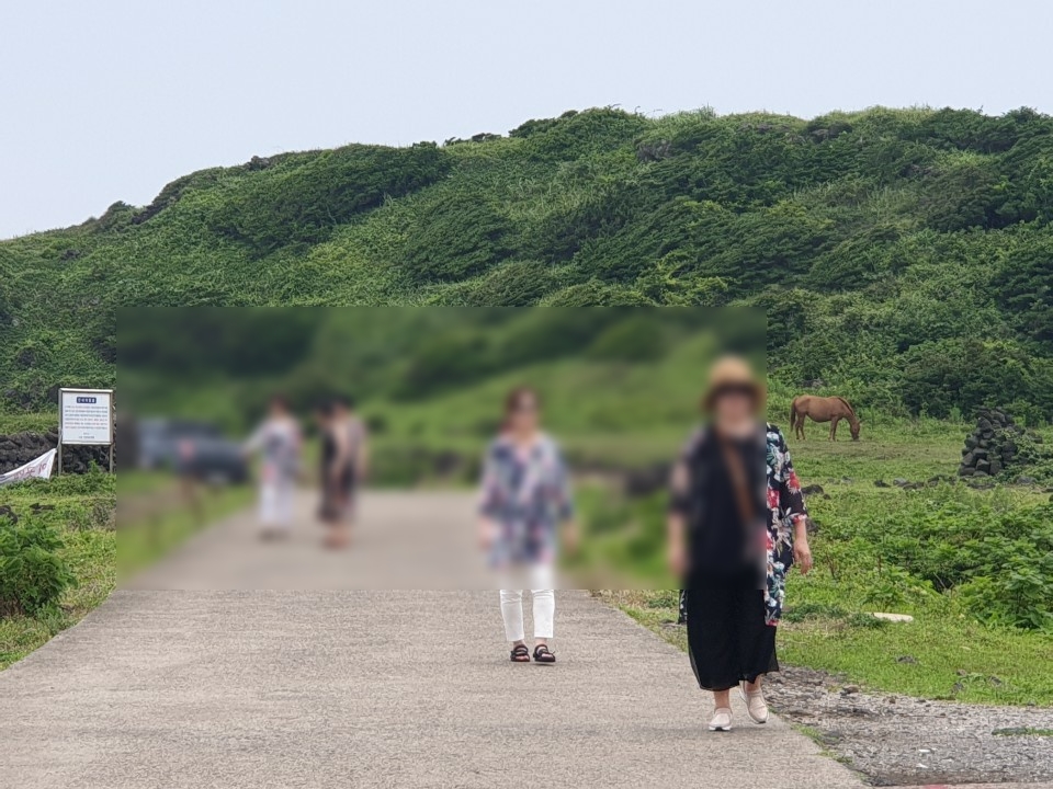 주식회사 여행더 이미지