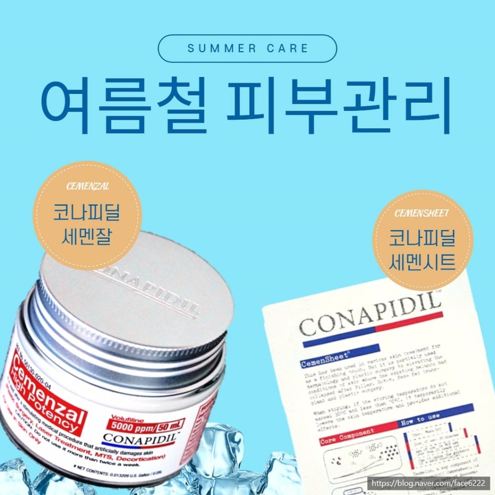 진성관리 이미지