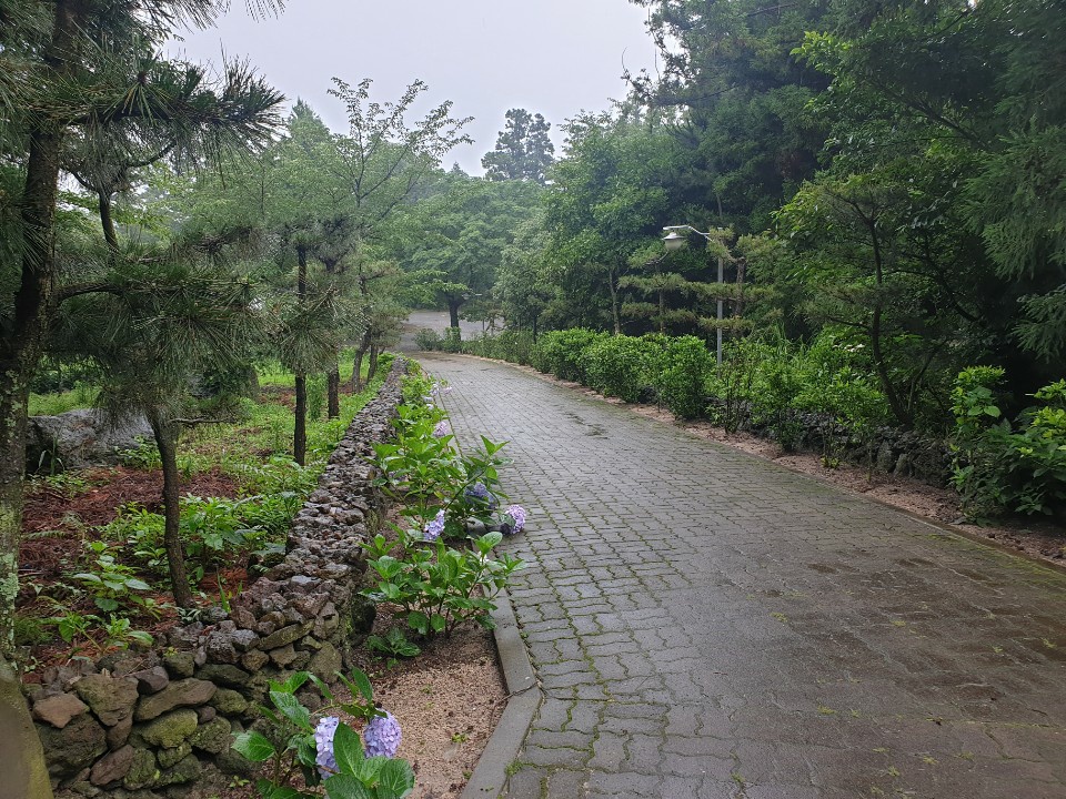 주식회사 제주도여행 이미지