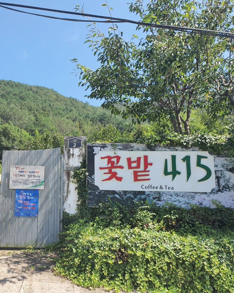 꽃밭415 이미지