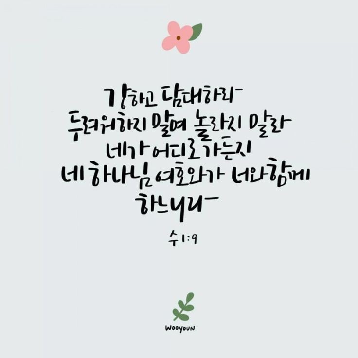 오늘의그릇 이미지