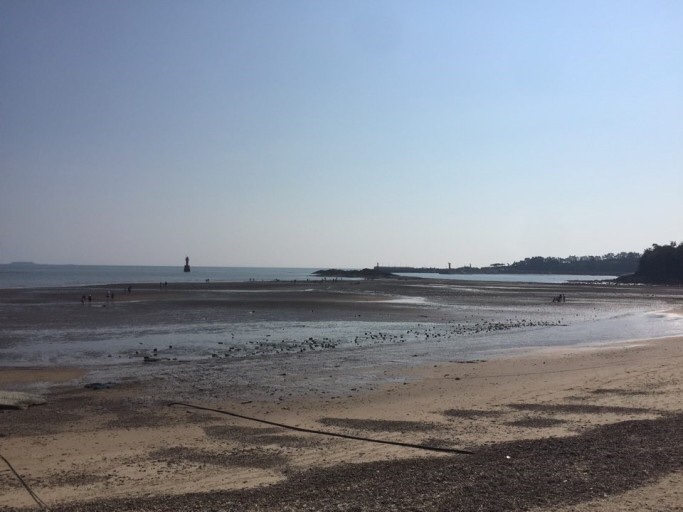 변산반도젓갈 이미지
