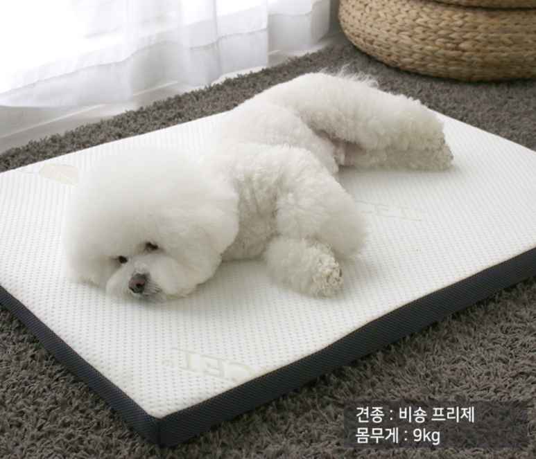 스테퍼하우스 이미지