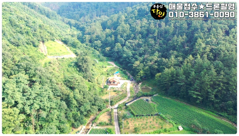 산삼하우스 이미지