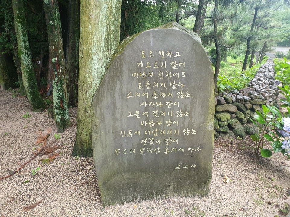 주식회사 제주도여행 이미지