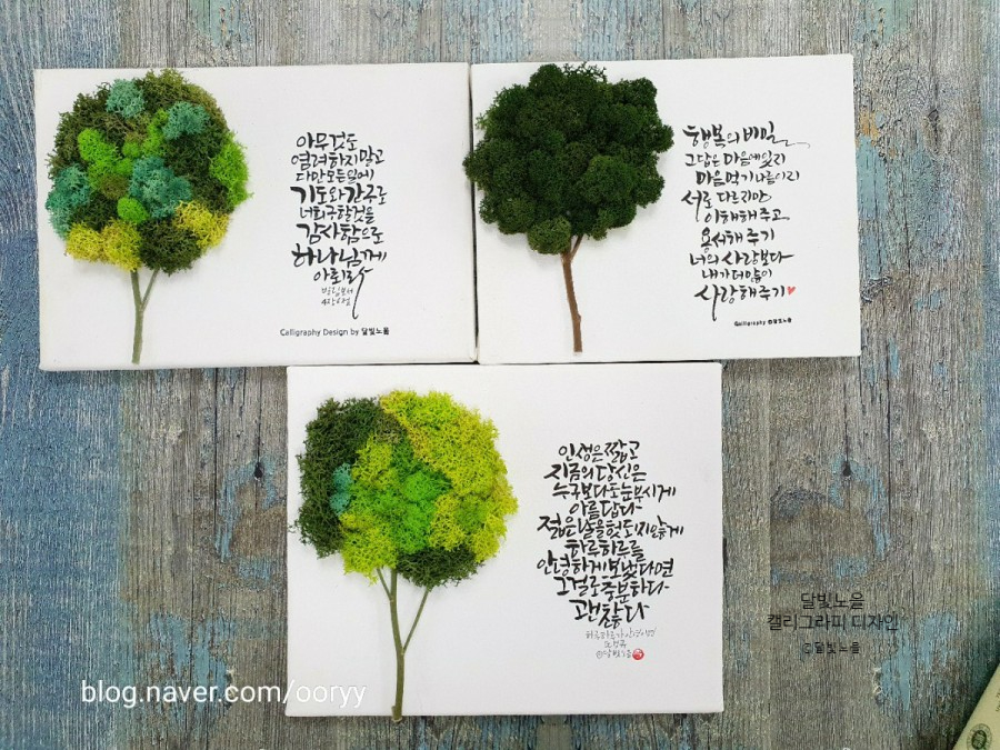 달빛노을캘리그라피디자인 이미지