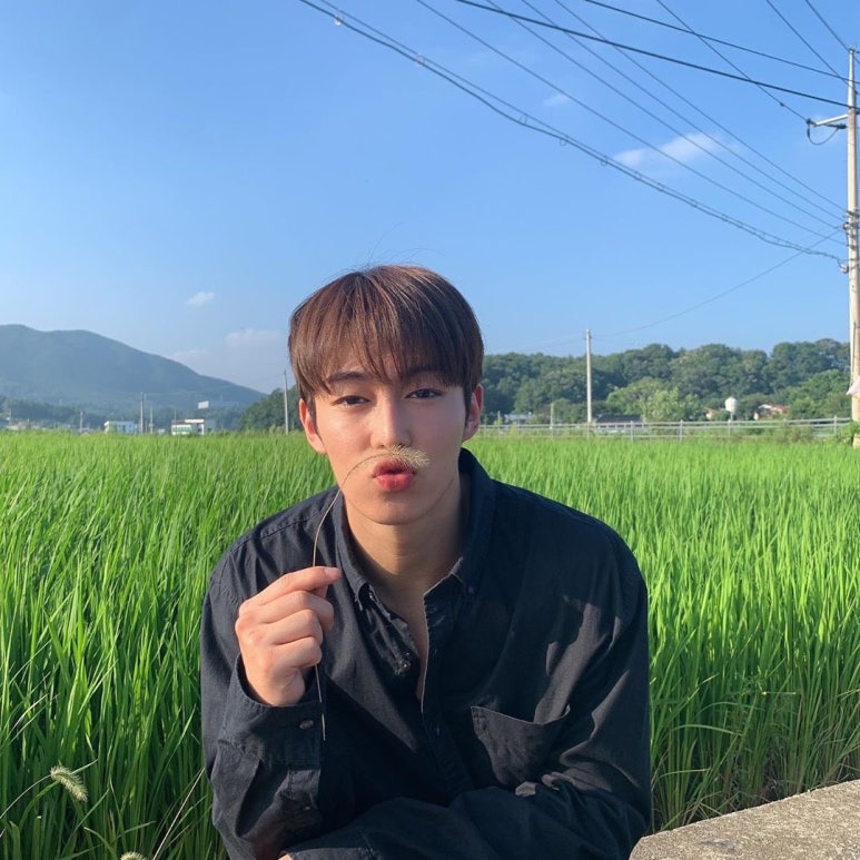 다원상사 이미지