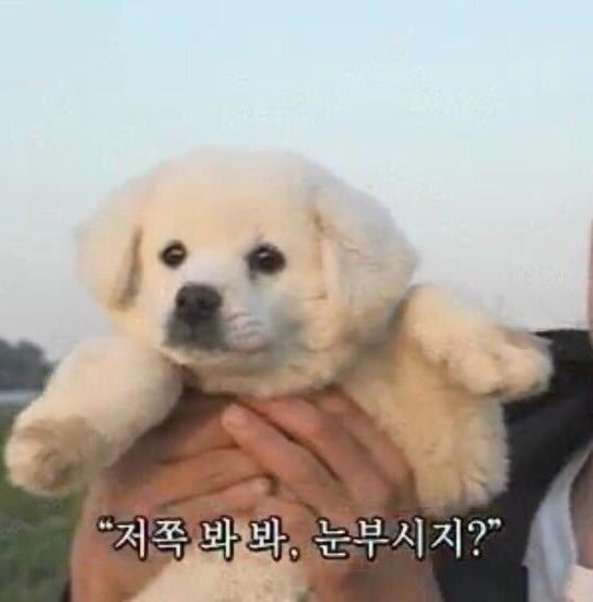 부평고모네곱창 이미지