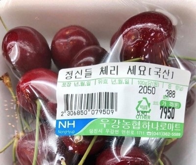 마그넷파크 이미지