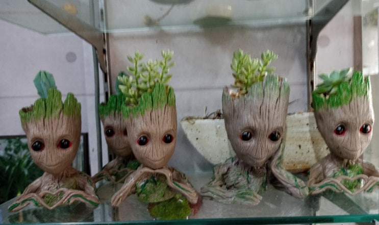 삼부꽃집 이미지