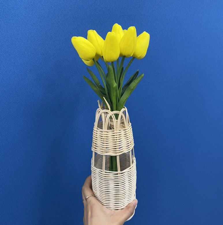 딱지몰 이미지