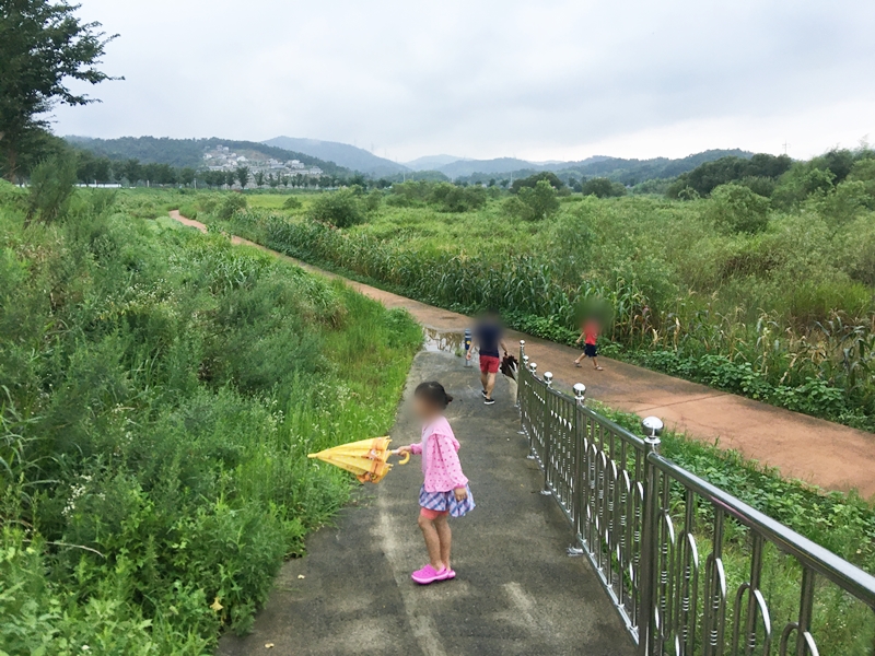 순천만하루애 이미지