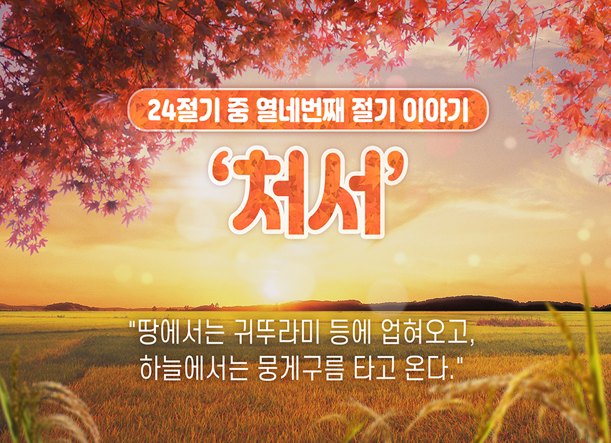 2020ë…„ ì²˜ì„œ ëœ»ê³¼ í'ìŠµ ì²˜ì„œë§¤ì§ ì€ ë¬´ì—‡ì¼ê¹Œ ë„¤ì´ë²„ ë¸