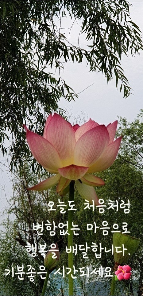 안녕하루야 이미지