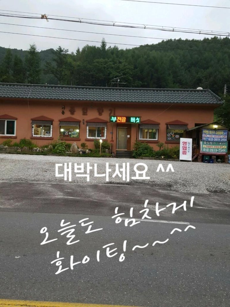풀잎식당 이미지
