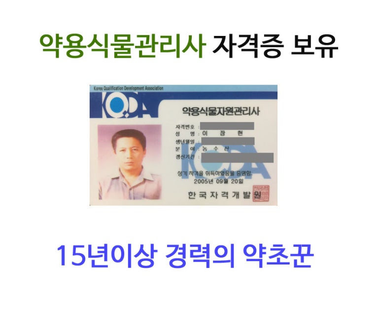 산드리약초 이미지