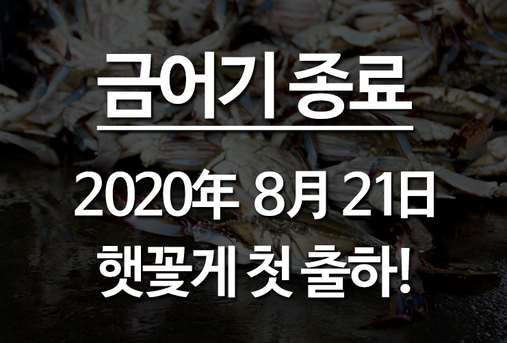 ６６번중매인 이미지