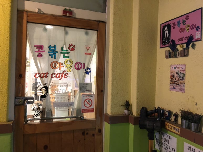콩볶는야옹이 이미지