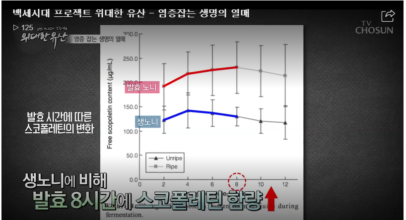 영학식품 이미지
