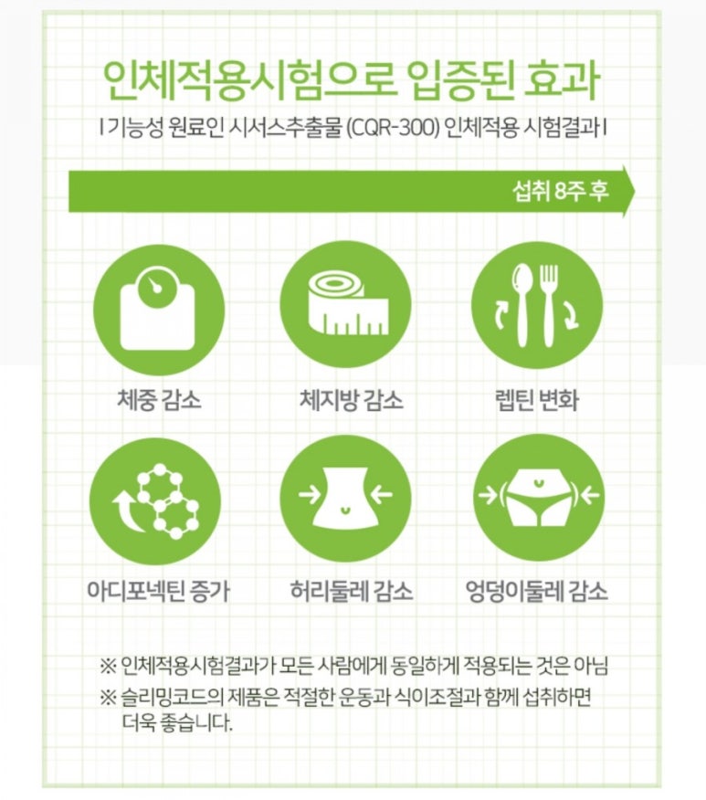 올인기획 이미지