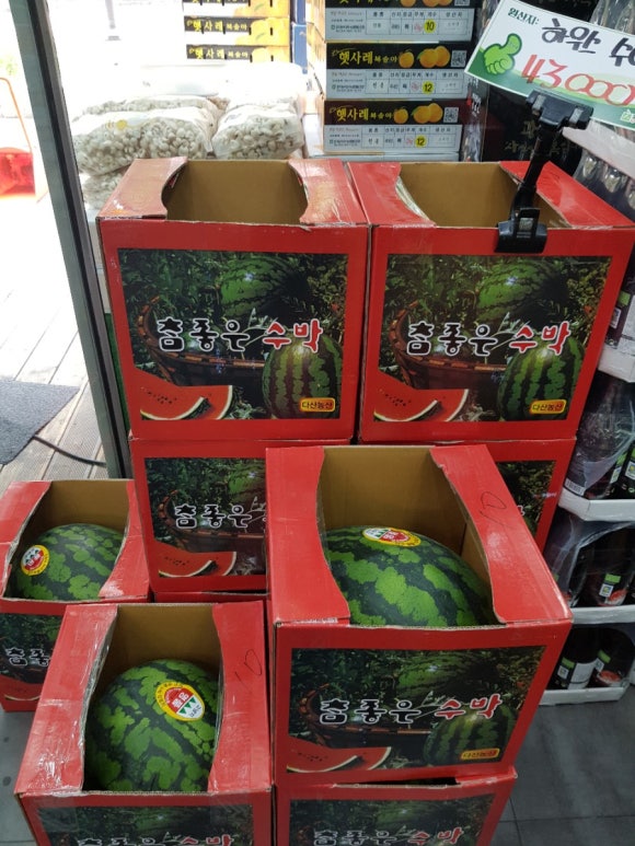 총각네수지 이미지