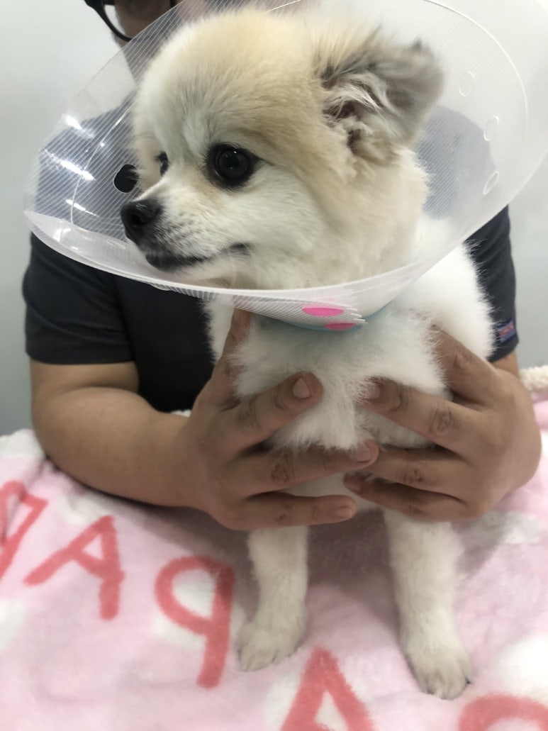 민트병원 이미지