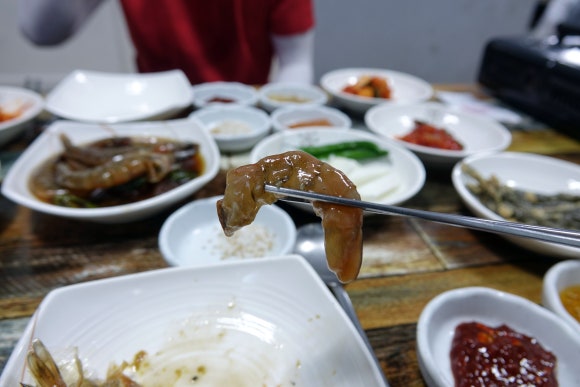 돼지촌나라 이미지