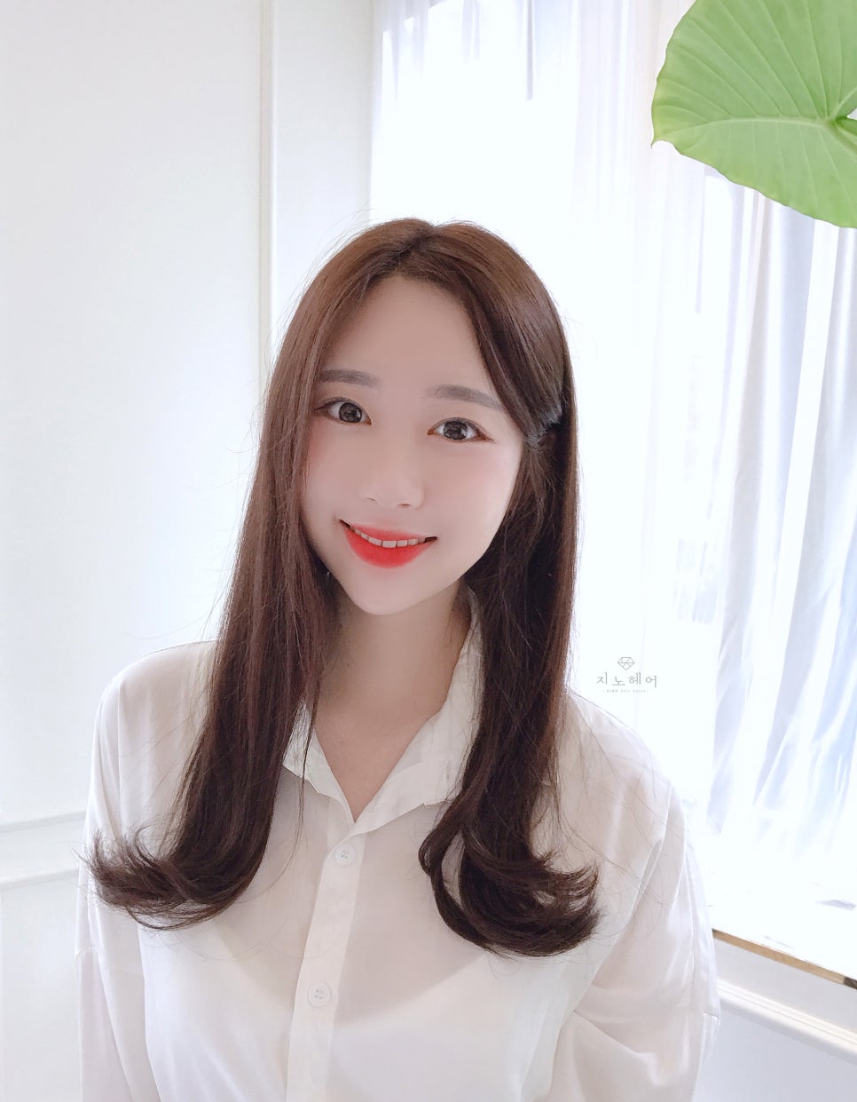 데일리브라운 이미지