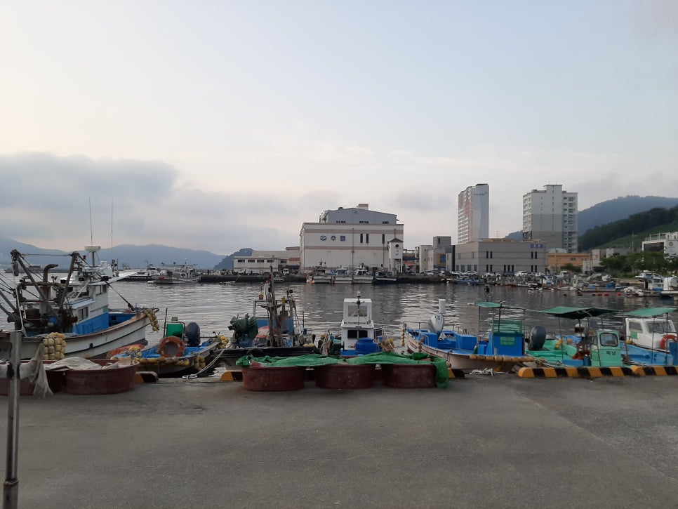 이코노행정사사무소 이미지