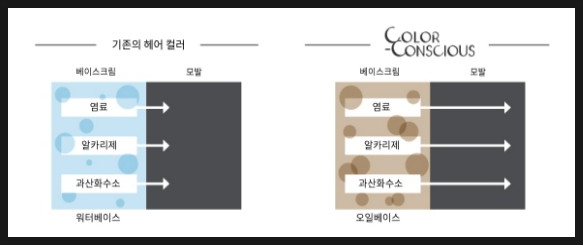 서스베이스 이미지