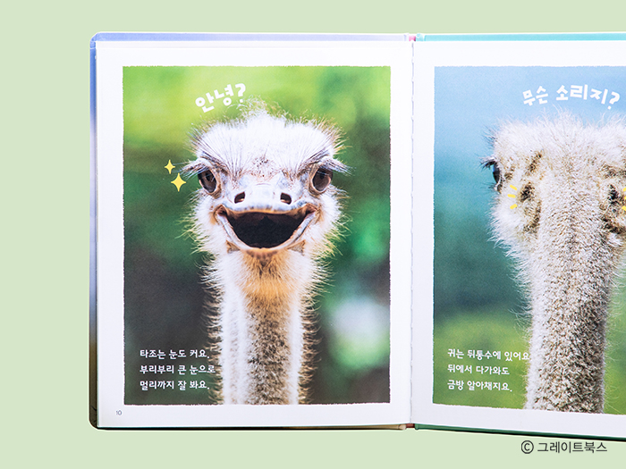 베스트북스 이미지