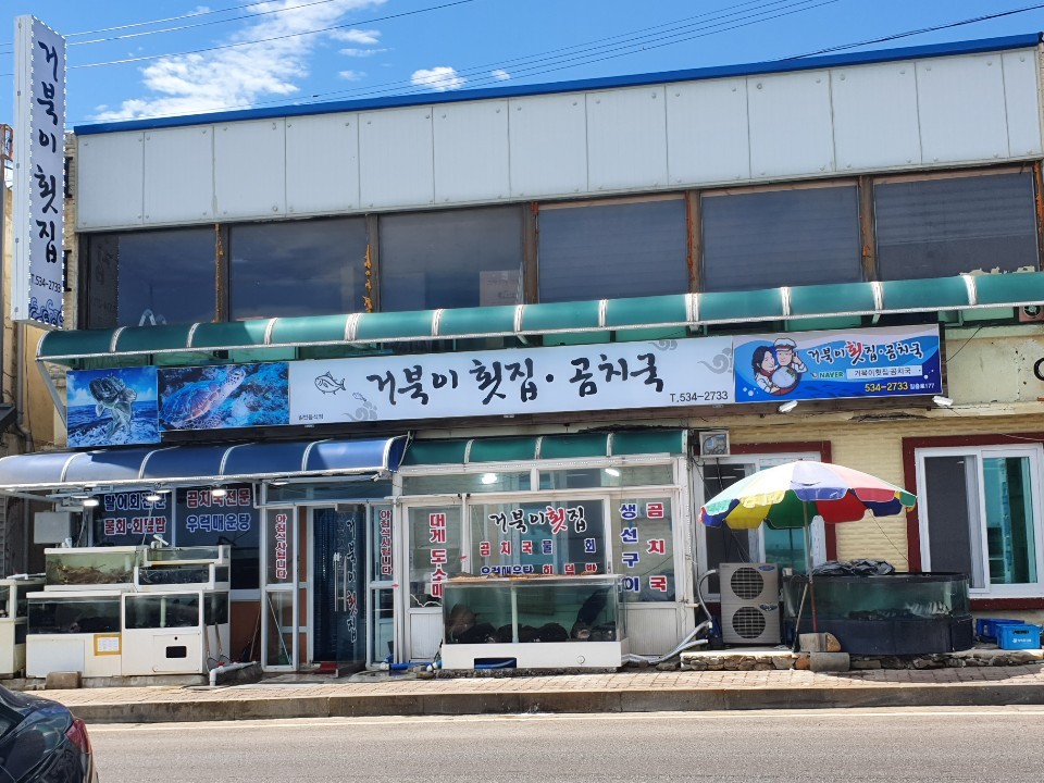 거북이횟집 이미지